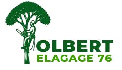 elagage-olbert-elagage-76